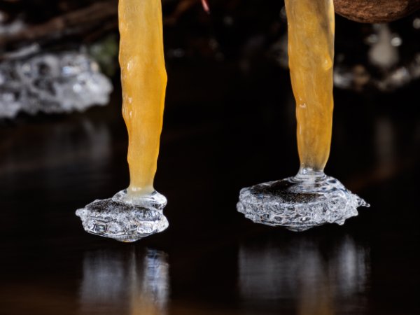Ice