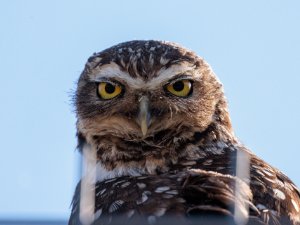 photography by Fernando Molina