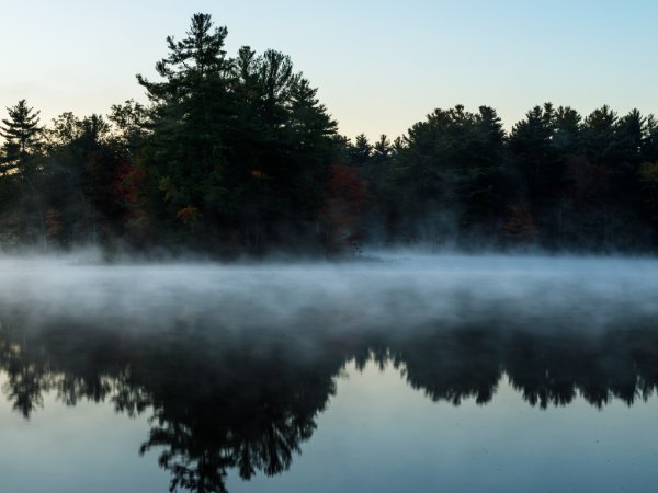 Landscapes